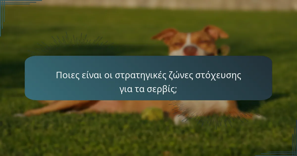 Ποιες είναι οι στρατηγικές ζώνες στόχευσης για τα σερβίς;