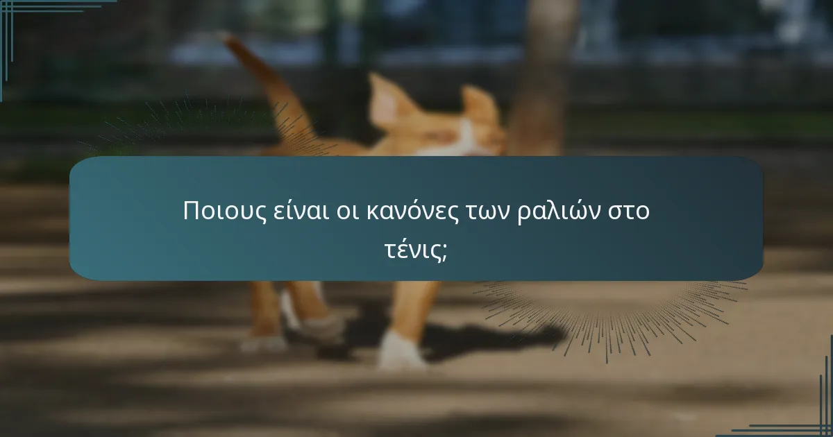 Ποιους είναι οι κανόνες των ραλιών στο τένις;