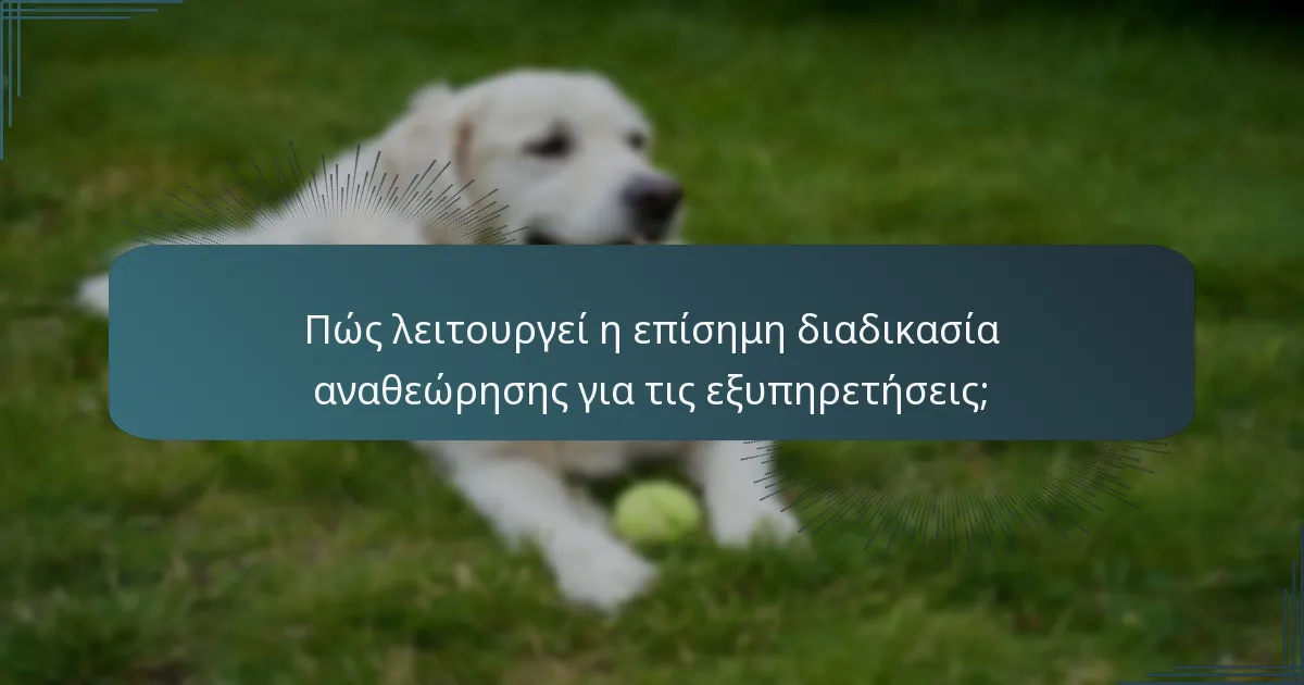 Πώς λειτουργεί η επίσημη διαδικασία αναθεώρησης για τις εξυπηρετήσεις;