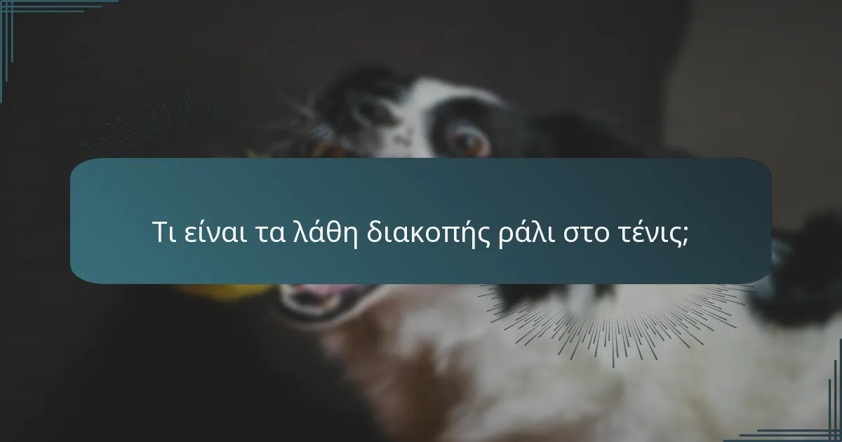 Τι είναι τα λάθη διακοπής ράλι στο τένις;