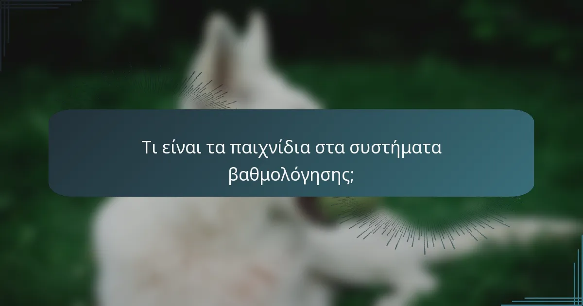 Τι είναι τα παιχνίδια στα συστήματα βαθμολόγησης;