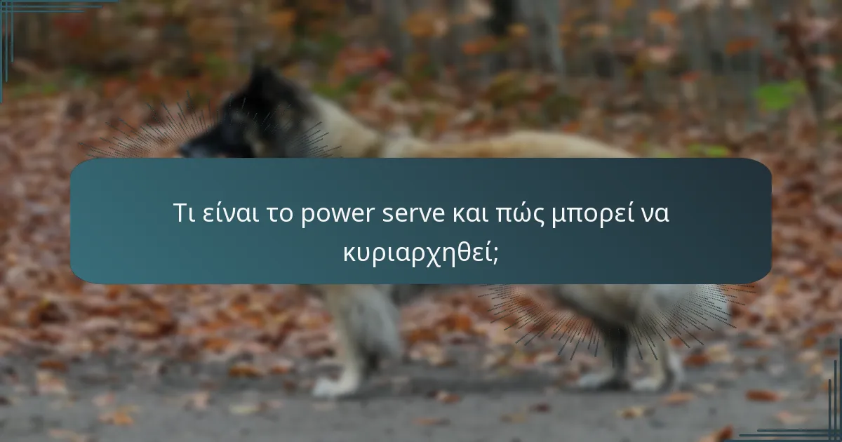 Τι είναι το power serve και πώς μπορεί να κυριαρχηθεί;